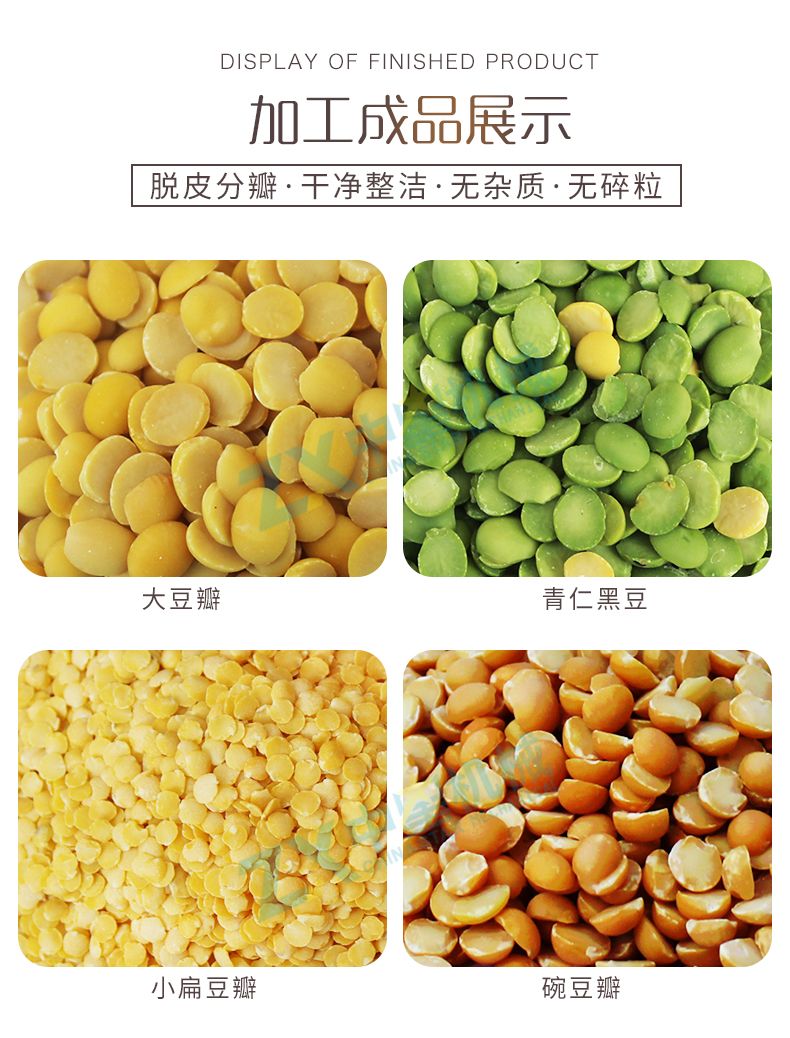 日產(chǎn)12噸大豆脫皮分瓣成套設備_07.jpg 日產(chǎn)12噸大豆脫皮分瓣成套設備_07.jpg