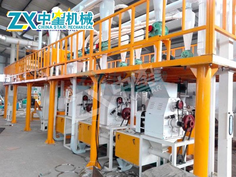 日產(chǎn)30噸玉米加工流水線成套設(shè)備