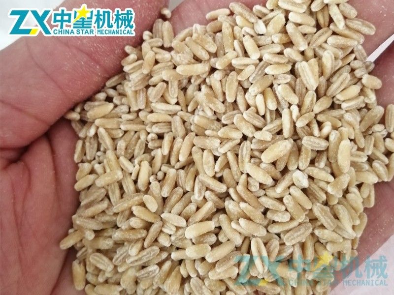 燕麥脫皮加工成套設(shè)備