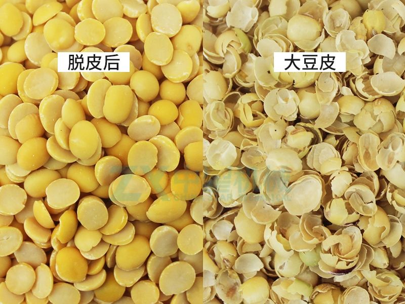 大豆圖_Jc.jpg 大豆圖_Jc.jpg